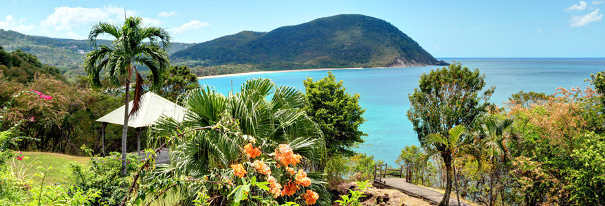 visiter en Guadeloupe